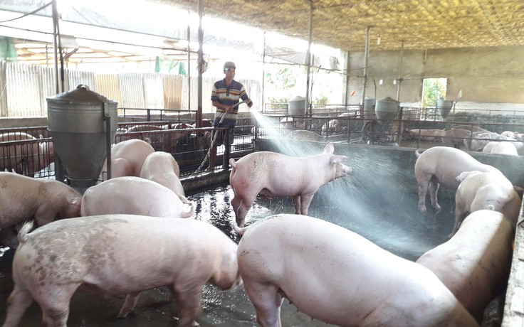 Đồng Nai: Gần 1.300 cơ sở ngừng chăn nuôi do bị buộc phải di dời