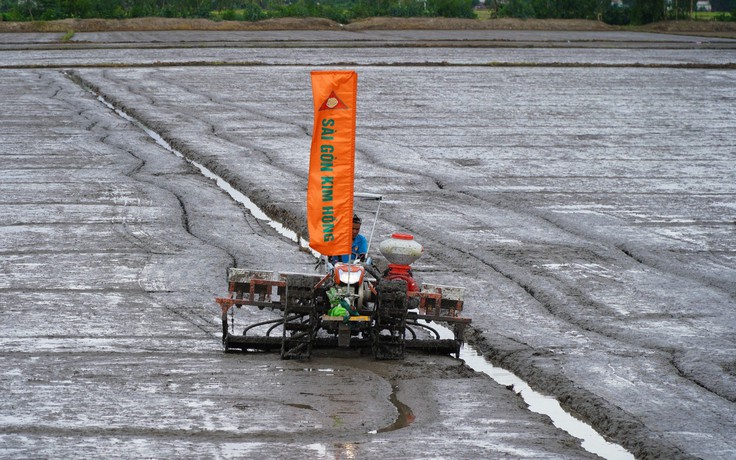 Kiên Giang: Khởi động Đề án một triệu ha lúa chất lượng cao, phát thải thấp