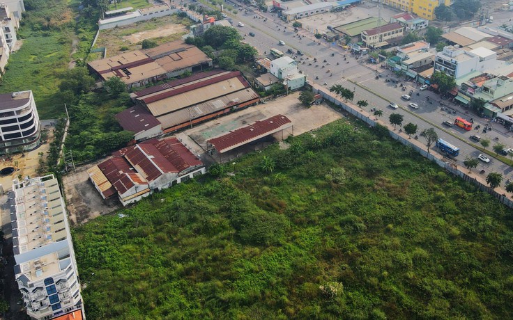 TP.HCM: 59 khu đất công bỏ trống, Q.Bình Tân đề xuất thu hồi xây trường học