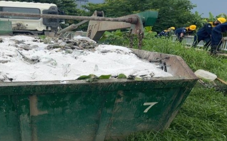 Cá chết hàng loạt ở Đà Nẵng: Vớt 10 tấn xác cá, truy vết nguồn nước