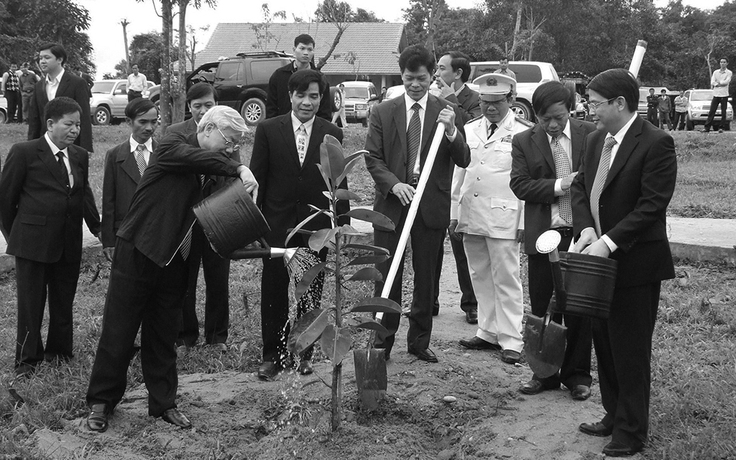 Cây đa đoàn kết, nghĩa tình