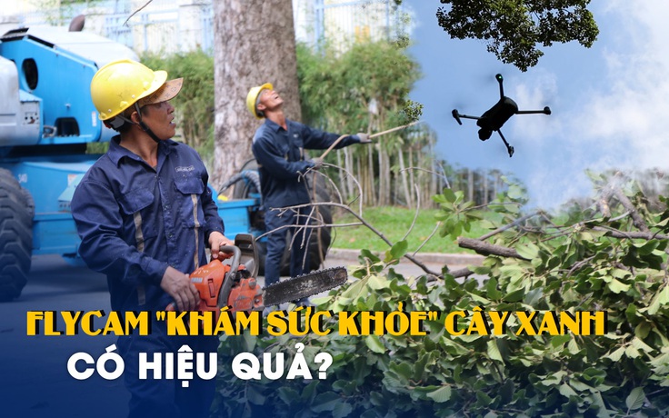 Dùng flycam 'khám sức khỏe' cây xanh ở TP.HCM: Chuyên gia nói gì?