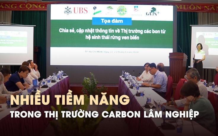 Nhiều tiềm năng trong thị trường carbon lâm nghiệp