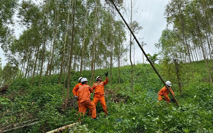 EVNNPC sẵn sàng nhiều phương án đảm bảo cung cấp điện dịp nghỉ lễ Quốc khánh 2.9