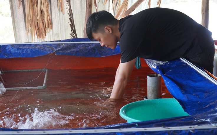 Chàng trai thu lợi nhuận hàng trăm triệu đồng nhờ nuôi cá chình