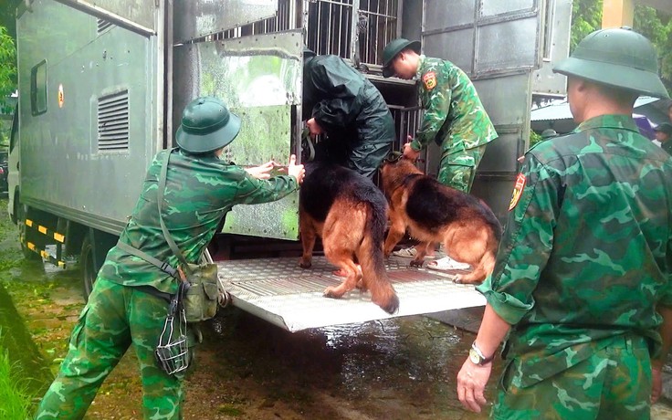 Lào Cai: Chó nghiệp vụ tham gia tìm kiếm nạn nhân ở Làng Nủ