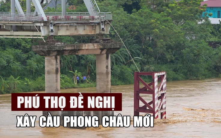 Đề nghị xây cầu Phong Châu mới, kinh phí 865 tỉ đồng