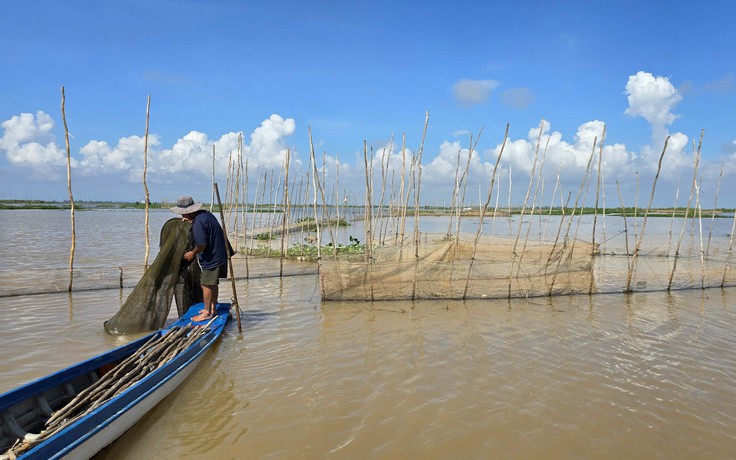 Cảnh báo lũ trên sông Mekong