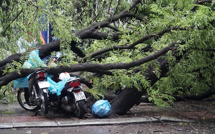 Áp thấp nhiệt đới, bão tiếp nối trên Biển Đông