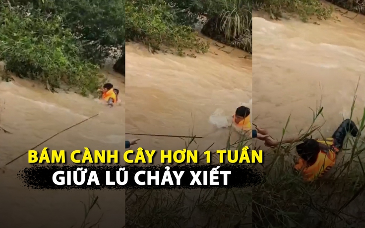 [VIDEO] Thót tim giải cứu thanh niên bị kẹt giữa lũ, bám vào cành cây hơn 1 tuần