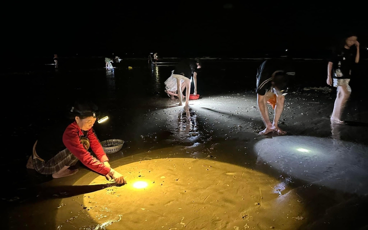 Người Hà Tĩnh soi đèn cả đêm nhặt 'lộc biển'