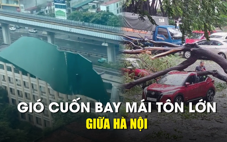 Bão số 3 (Yagi): Mái tôn lìa nóc nhà, cây ngã la liệt đè ô tô trên đường phố Hà Nội