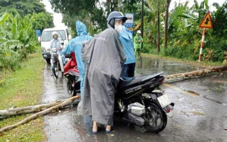 Hải Dương: Một người tử vong do cây đổ đè trúng