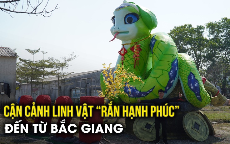 Chủ nhân 'Nàng Rắn Hạnh Phúc' 7 tấn tiết lộ lý do chọn màu xanh và những gửi gắm từ tên gọi