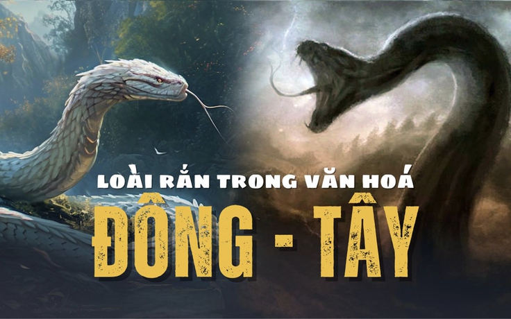 Đối lập thú vị về loài rắn trong văn hóa Đông - Tây