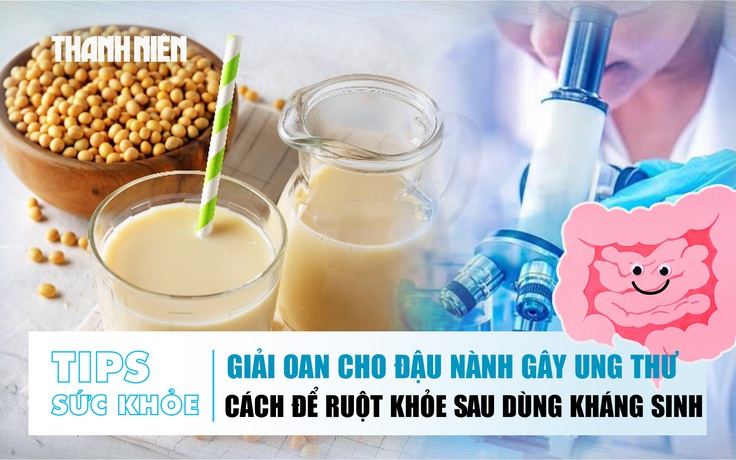 Bản tin sức khỏe ngày 1.10: Giải oan cho đậu nành gây ung thư | Làm sao để ruột khỏe sau khi dùng kháng sinh?