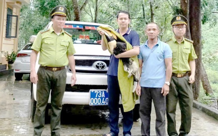 Sau mưa lớn, chim hồng hoàng quý hiếm bay vào vườn nhà dân