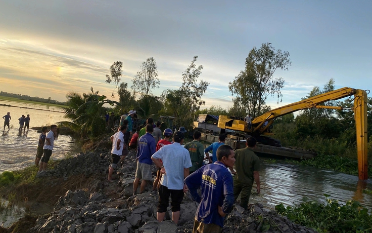 Đồng Tháp Mười, tỉnh Tây Ninh 'oằn mình' chống mưa lũ