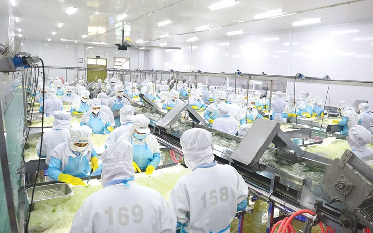 GC Food chọn lối đi bền vững để vươn ra toàn cầu