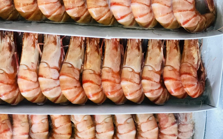 Tôm Indonesia nhiễm phóng xạ, tôm Việt có cơ hội bứt phá?