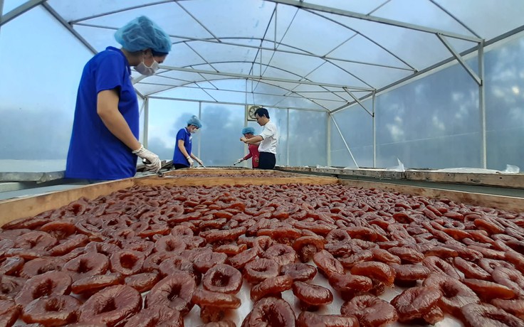 Người đưa mận trắng thành món mứt 'trứ danh' miền Tây