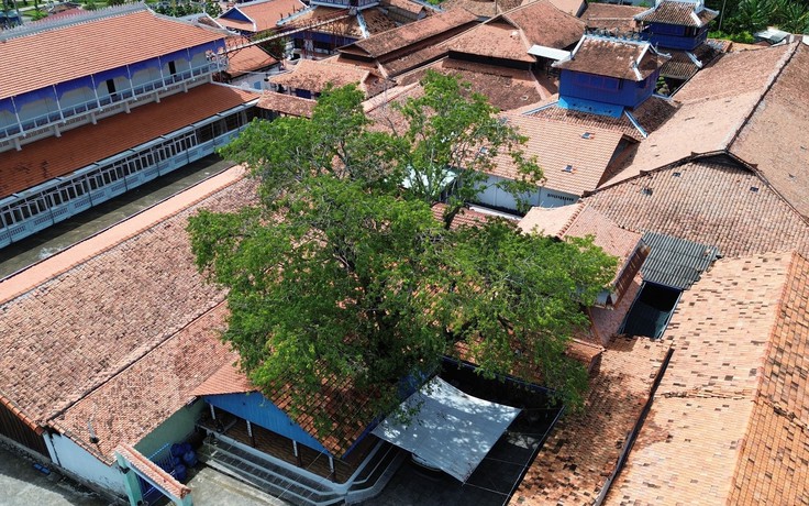 Khám phá Nhà Lớn Long Sơn: Cây me trăm tuổi, lồng liệt gắn với đạo ông Trần