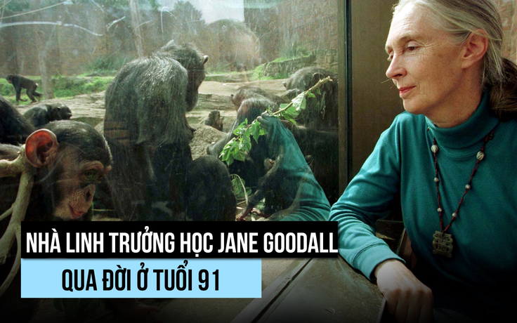 'Quý bà linh trưởng' Jane Goodall qua đời
