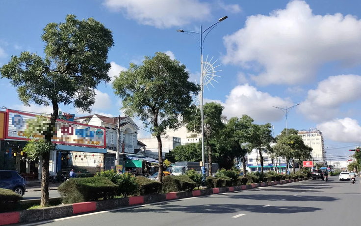 Công an tỉnh Cà Mau đề nghị cung cấp các dự án có sử dụng cây xanh