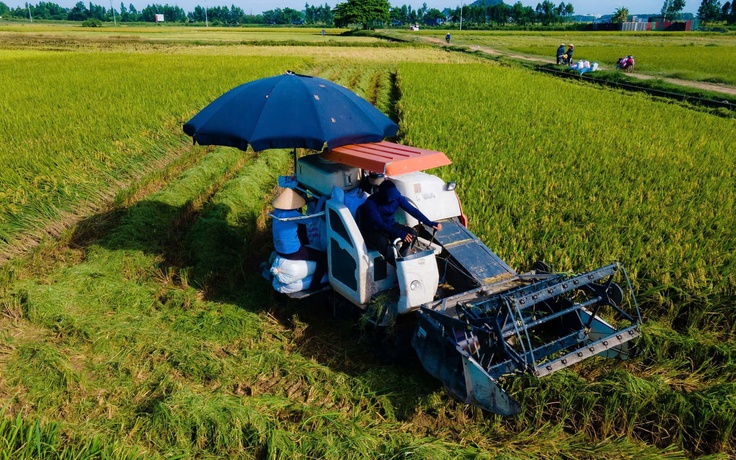 Hà Nội muốn chi gần 900 tỉ đồng/năm hỗ trợ chính sách phát triển nông nghiệp, nông thôn