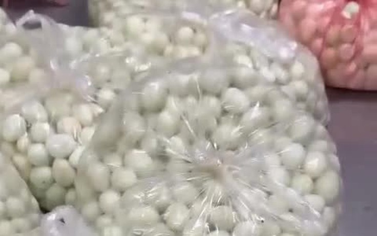 Trường dừng bán trú vì thực phẩm thiếu an toàn, phụ huynh cho con nghỉ học

