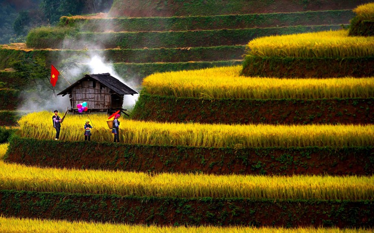 Đẹp nao lòng bức tranh mùa lúa chín ở Mù Cang Chải