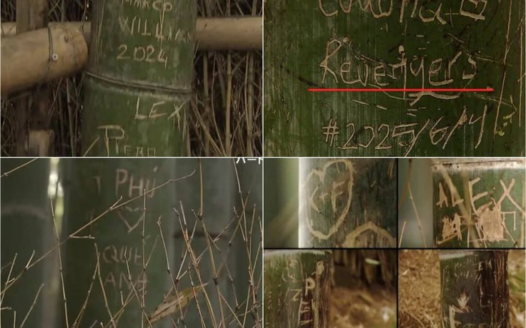 Rừng tre nổi tiếng Nhật Bản bị khắc chữ chi chít, có cả tiếng Việt