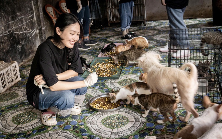 Mở trạm để chó, mèo có nhà ở