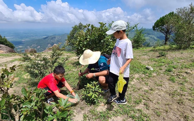Nảy mầm xanh trên đỉnh núi đá Chư Nâm