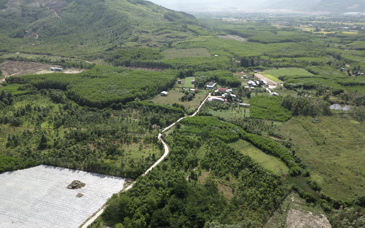 Gia Lai chuyển đổi hơn 80 ha đất rừng để triển khai 7 dự án