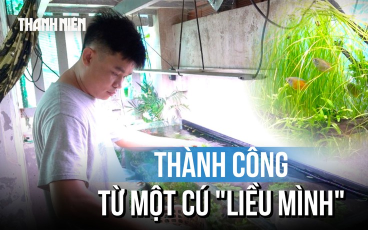‘Liều mình’ bỏ nghề cũ, chàng trai có thu nhập cao từ hồ thủy sinh