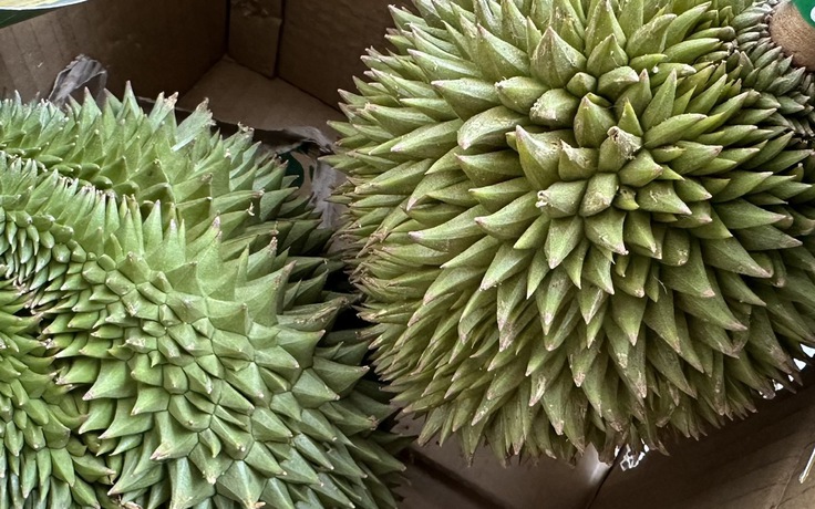 Lên lộ trình cấm thuốc trừ sâu ở Việt Nam