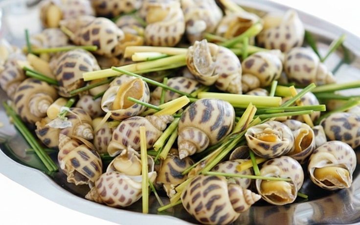 Ốc hương: Giá trị dinh dưỡng và lợi ích sức khỏe