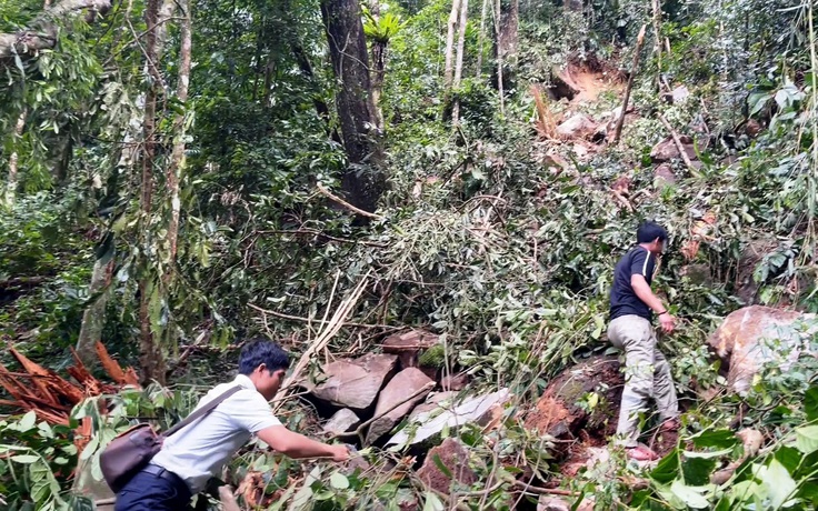 Liên tiếp động đất ở Quảng Ngãi: Vùng cao Đà Nẵng dư chấn 'như muốn sập nhà'