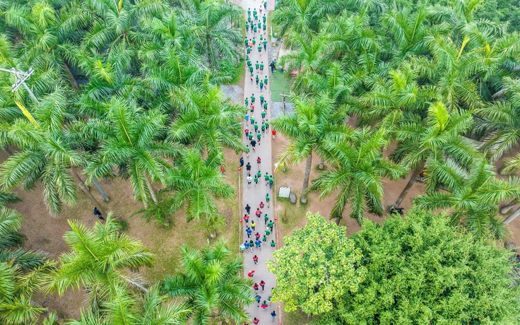 Đại đô thị xanh lớn hàng đầu Nghệ An khởi động giải chạy Eco Central Park Marathon