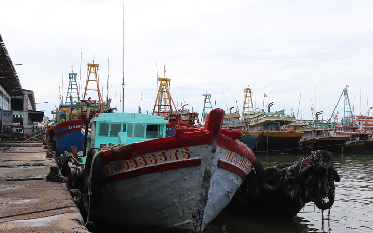 Lâm Đồng siết chặt quản lý đội tàu, quyết liệt ngăn chặn vi phạm IUU