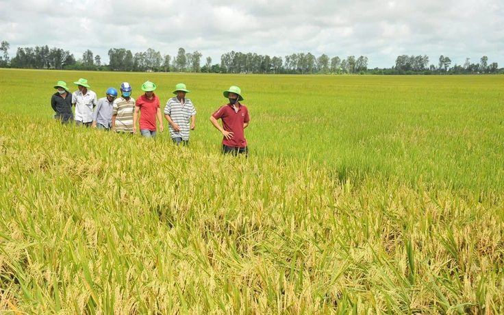 Bứt lên phía trước bằng nông nghiệp xanh