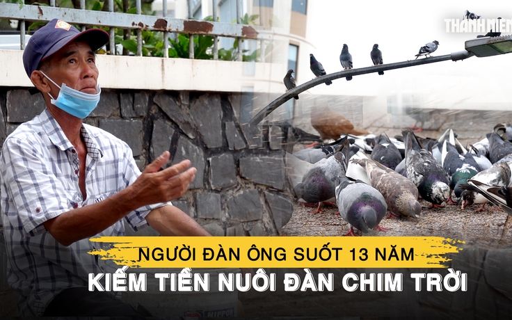 Người đàn ông miền Tây suốt 13 năm kiếm tiền nuôi đàn chim trời, coi như con ruột