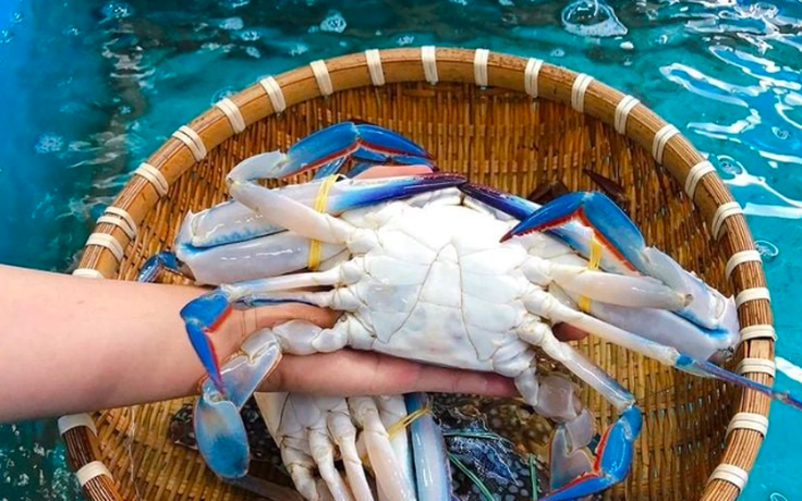 Ghẹ Việt thoát hiểm phút cuối, tiếp tục xuất sang Mỹ