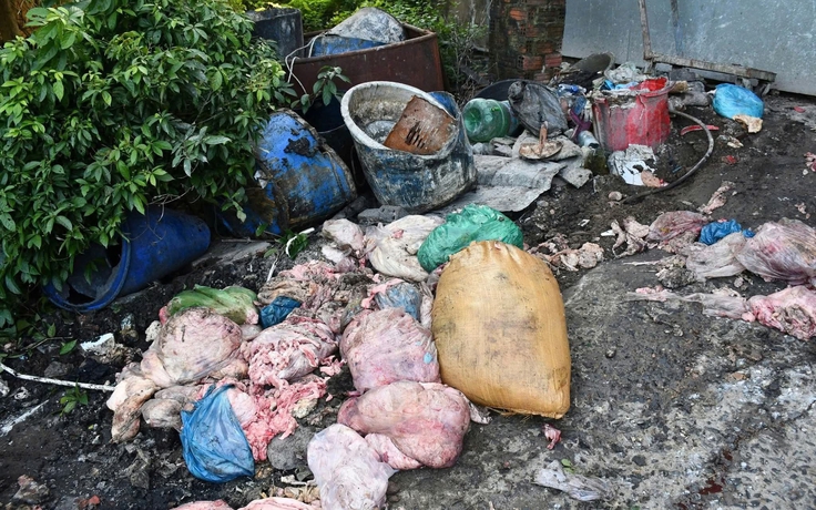 Đà Nẵng: Rùng mình với cơ sở nấu mỡ động vật giữa nghĩa trang