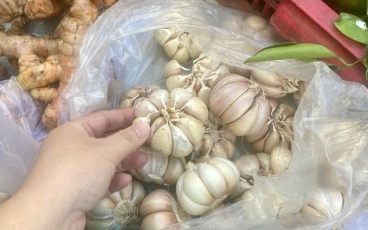 Người Việt chi đến 353 tỉ đồng mỗi tháng để ăn tỏi nhập khẩu
