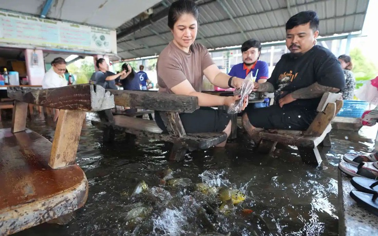 Nhà hàng gây bão khi thực khách dầm nước lũ ngắm cá bơi