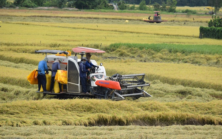 Đồng Tháp: ‘Thương hiệu’ giàu bản sắc, giàu khát vọng vươn lên