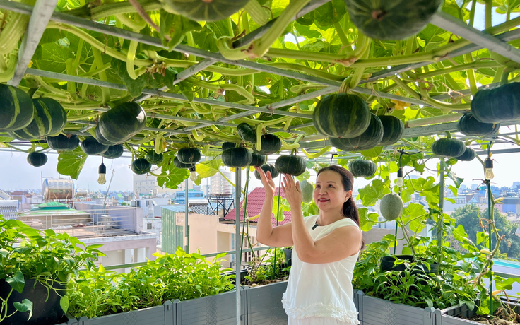 Nông nghiệp đô thị giúp tăng không gian xanh, cải thiện không khí