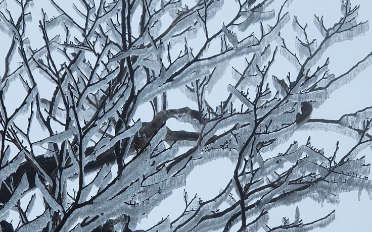 Băng giá xuất hiện trên đường lên đỉnh Tà Xùa